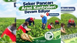 Şeker pancarında arazi kontrolü