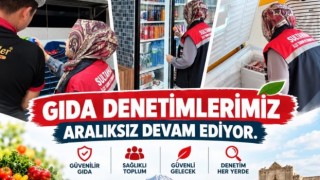 Sultanhanı’nda gıda işletmeleri mercek altında
