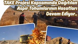 TAKE Projesi meyvesini verdi, hasat başladı