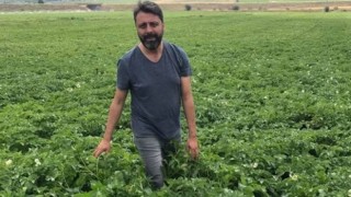 Üreticilere ilaçlama öncesi uyarı