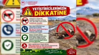 Aksaray’da hayvan ölümleri için önemli uyarı