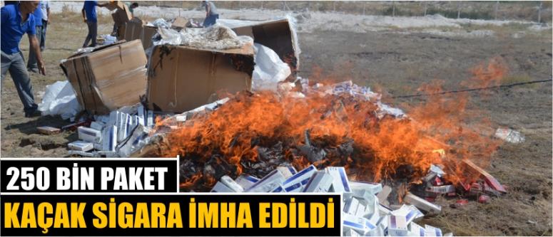 250 Bin Paket Kaçak Sigara İmha Edildi