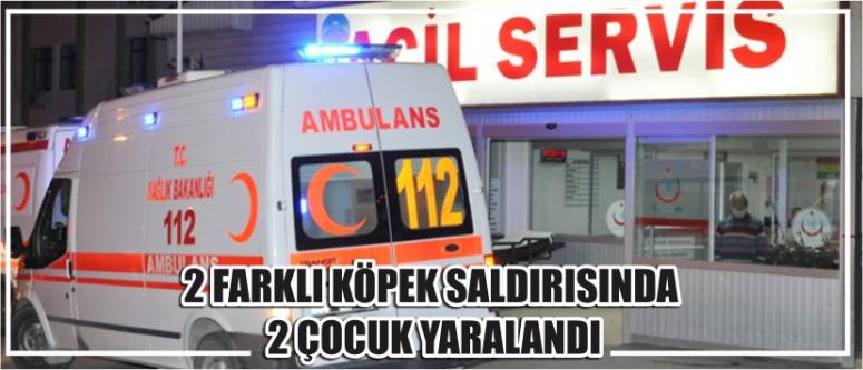 2 Farklı Köpek Saldırısında 2 Çocuk Yaralandı