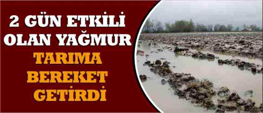 2 Gün Etkili Olan Yağmur Tarıma Bereket