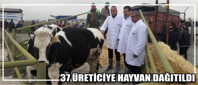  Şimdi Köye Dönme Zamanı