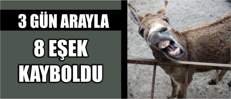 Akıbetleri Endişelendiriyor