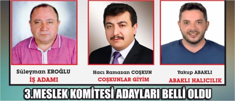  3.Meslek Komitesi Adayları Belli Oldu
