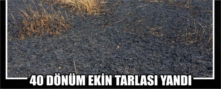 40 Dönüm Ekin Tarlası Yandı