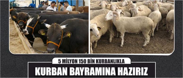 5 Milyon 150 Bin Kurbanlıkla Kurban Bayramına Hazırız