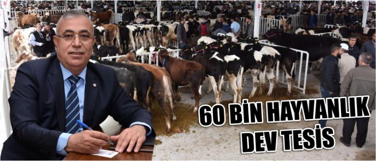 60 Bin Hayvanlık Dev Tesis