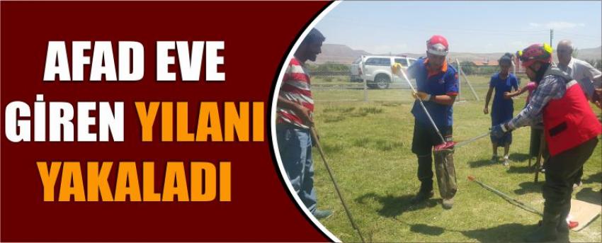 Afad Eve Giren Yılanı Yakaladı
