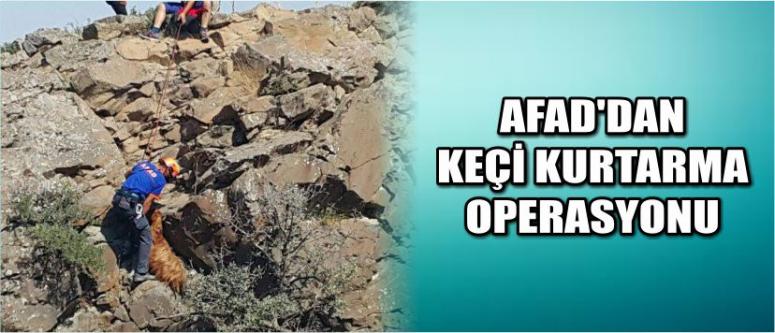 Afad’dan Keçi Kurtarma Operasyonu