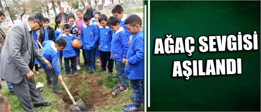 Ağaç Sevgisi Aşılandı