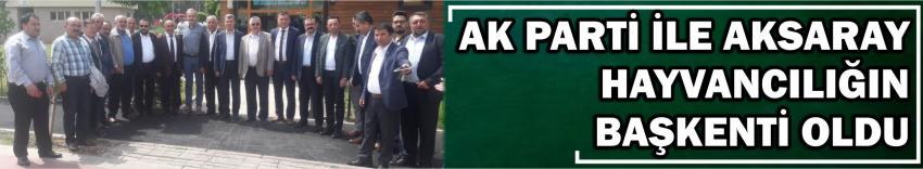 Ak Parti İle Aksaray Hayvancılığın Başkenti Oldu