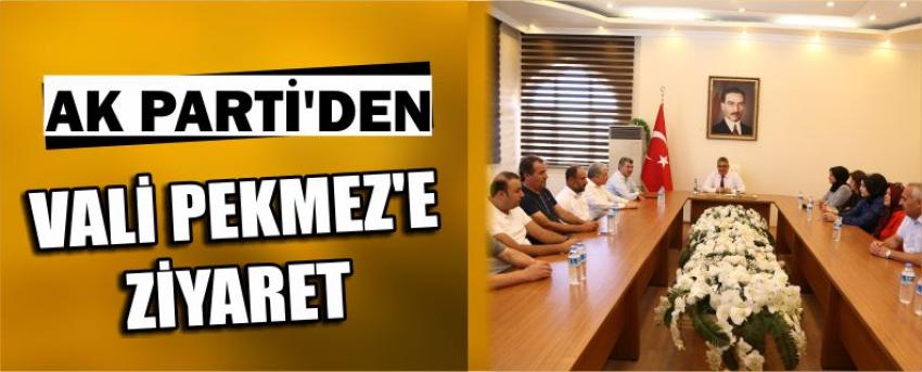 Ak Parti'den Vali Pekmez'e Ziyaret
