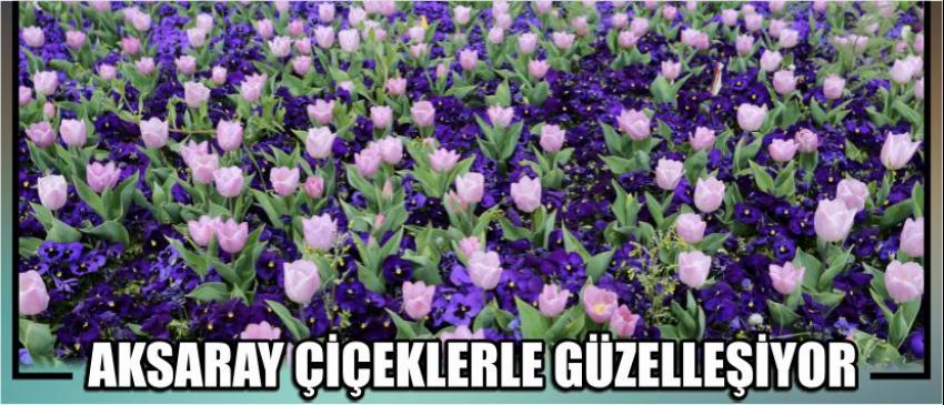 Aksaray Çiçeklerle Güzelleşiyor