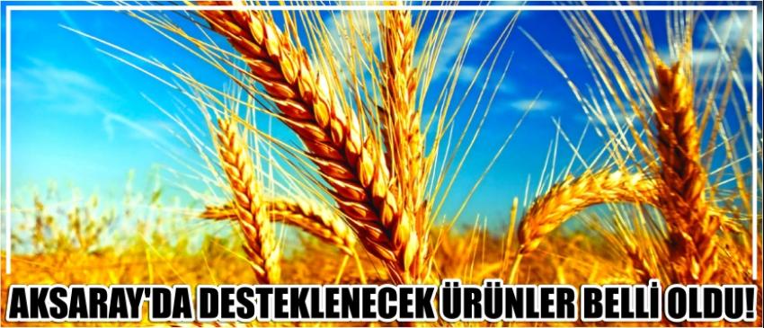 Aksaray’da Desteklenecek Ürünler Belli Oldu!