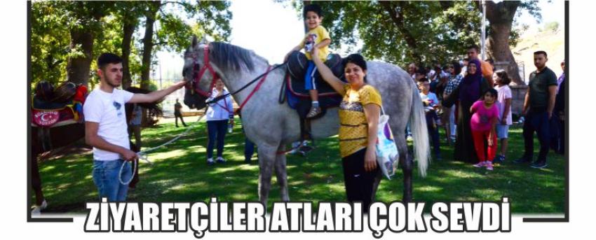 Ziyaretçiler Atları Çok Sevdi