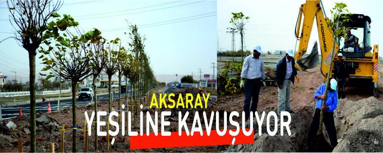 Aksaray-Konya Karayoluna 300 Adet Ağaç Dikiliyor