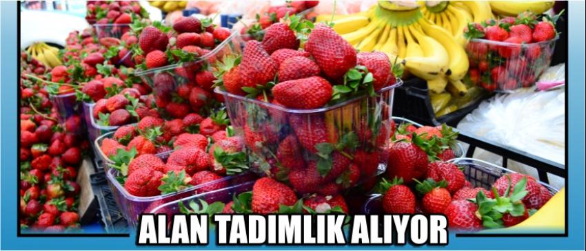 Alan Tadımlık Alıyor
