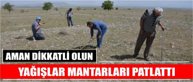 Aman Dikkatli Olun