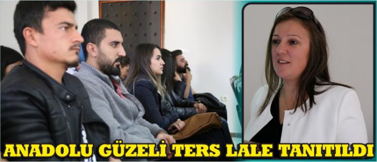 Anadolu Güzeli Ters Lale Tanıtıldı