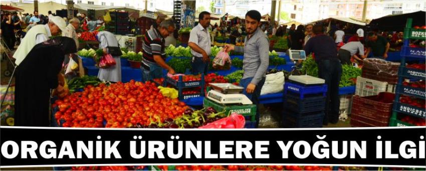 Organik Ürünlere Yoğun İlgi