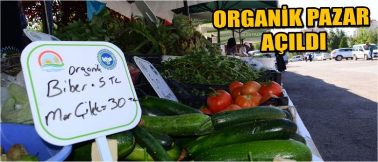 Organik Pazar Açıldı