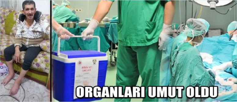 Organları Umut Oldu