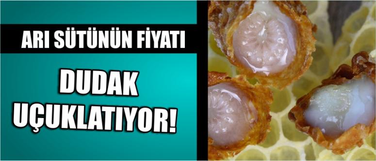 Arı Sütünün Fiyatı Dudak Uçuklatıyor!