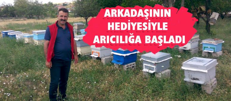 Arkadaşının Hediyesiyle Arıcılığa Başladı