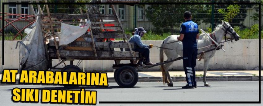At Arabalarına Sıkı Denetim