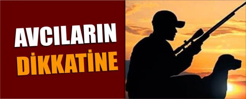 Avcıların Dikkatine