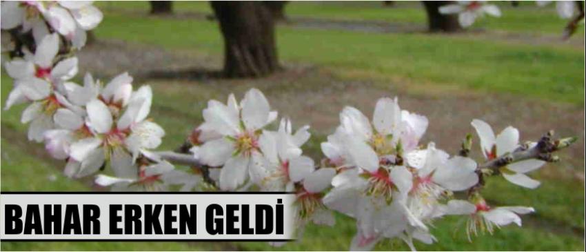 Bahar Erken Geldi
