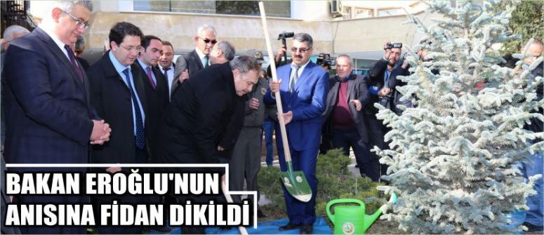 Bakan Eroğlu’nun Anısına Fidan Dikildi