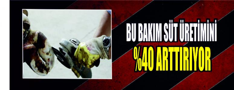 Bu Bakım Süt Üretimini Yüzde 40 Artırıyor