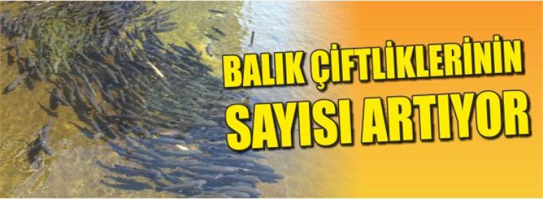Balık Çiftliklerinin Sayısı Artıyor 