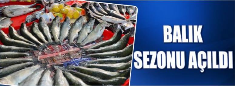 Balık Sezonu Açıldı