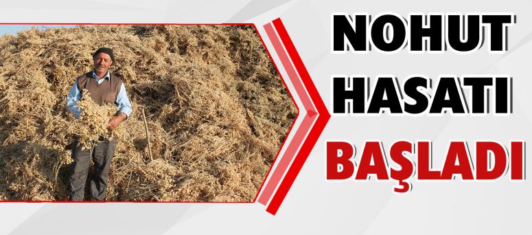 Nohut Hasatı Başladı