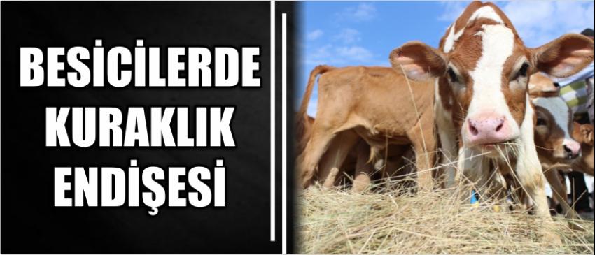 Besicilerde Kuraklık Endişesi