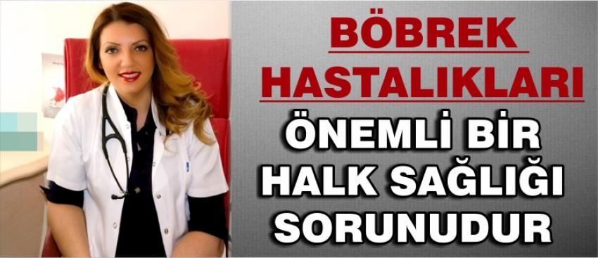 Böbrek Hastalıkları Önemli Bir Halk Sağlığı Sorunudur