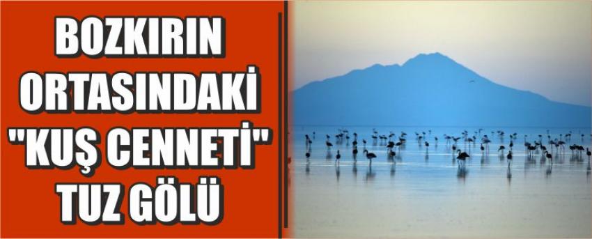 Bozkırın Ortasındaki "Kuş Cenneti" Tuz Gölü