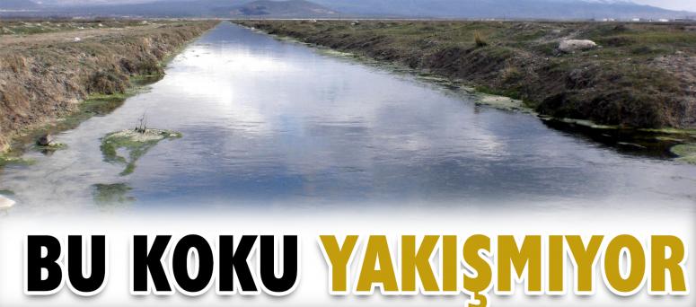 Bu Koku Yakışmıyor