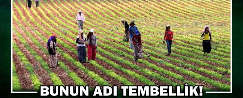 Bunun Adı Tembellik!