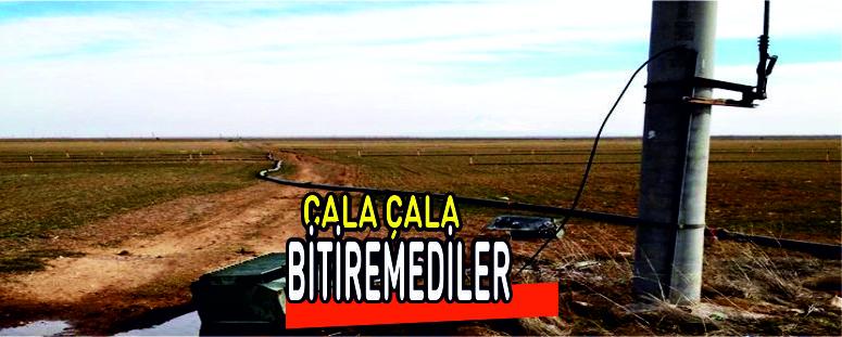 Çala Çala Bitiremediler