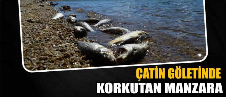 Çatin Göletinde Korkutan Manzara