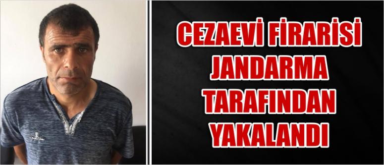 Cezaevi Firarisi Jandarma Tarafından Yakalandı