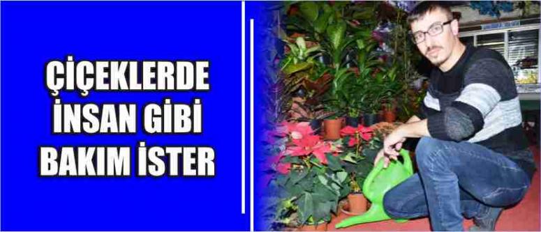 Çiçeklerde İnsan Gibi Bakım İster