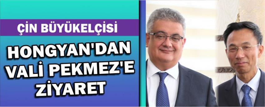 Çin Büyükelçisi Hongyan’dan Vali Pekmez’e Ziyaret