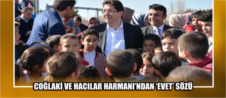 Coğlaki ve Hacılar Harmanı ‘Evet’ Diyor